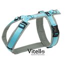 Anny-x Harness L Gray / Iceblue