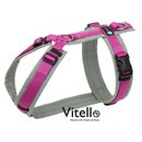 Anny-x Harness M Gray / Pink