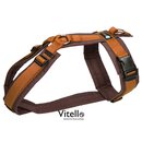 Anny-x chest harness M brown / amber