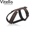 Anny-x harness for chest M Black/Brown